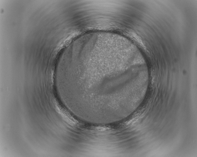 X0000088720542200706141615