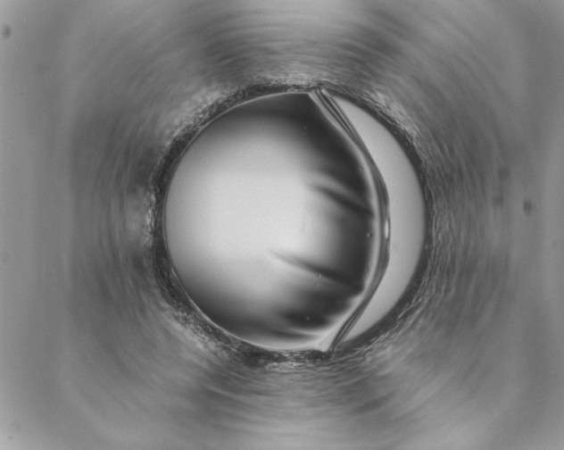 X0000088720544200706141616