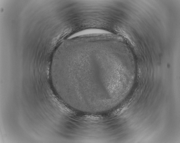 X0000088720545200706141616