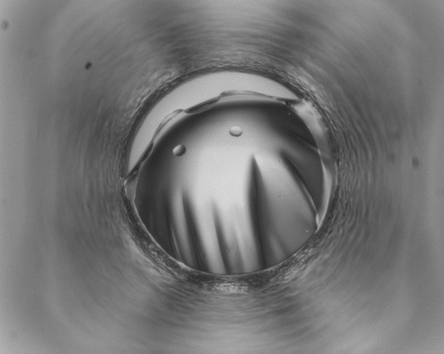 X0000088720546200706141616