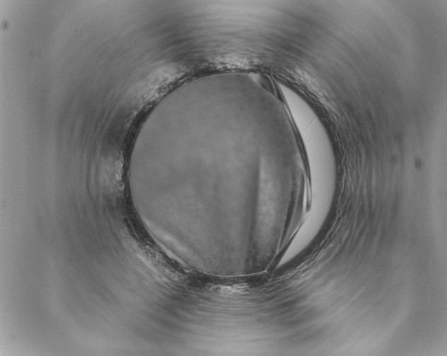 X0000088720548200706141616