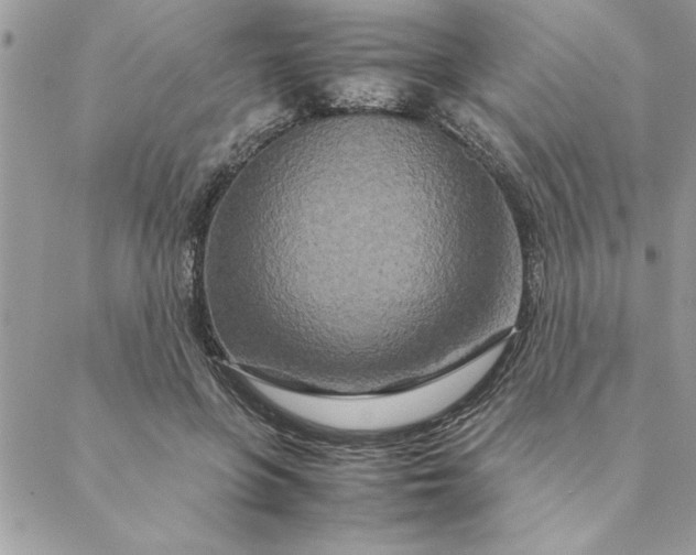 X0000088720551200706141616