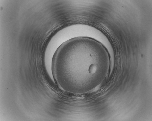 X0000088720552200706141616