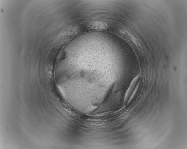 X0000088720553200706141616