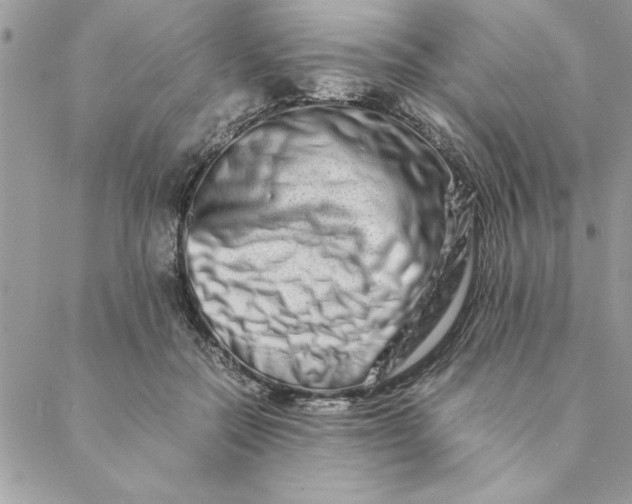 X0000088720554200706141616