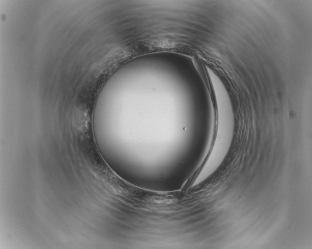 X0000088720555200706141616