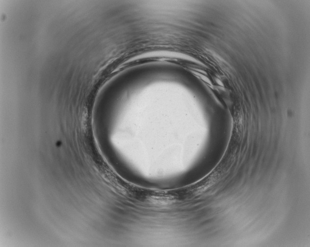 X0000088720556200706141616