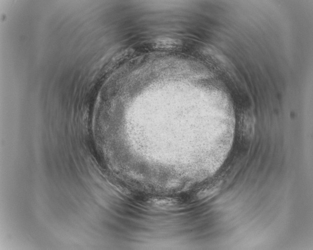 X0000088720557200706141616