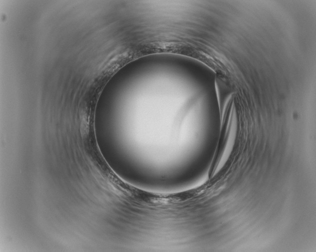 X0000088720558200706141616