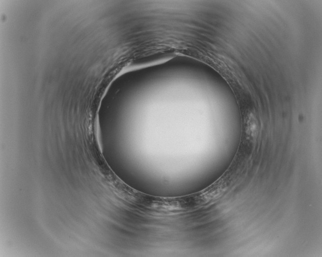 X0000088720559200706141616