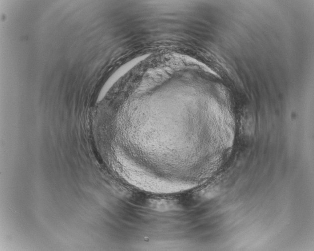 X0000088720561200706141616