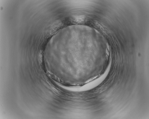 X0000088720562200706141616