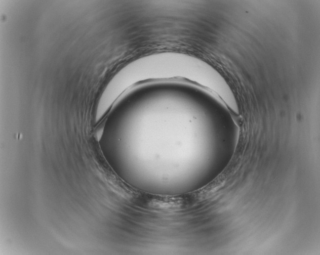 X0000088720563200706141616