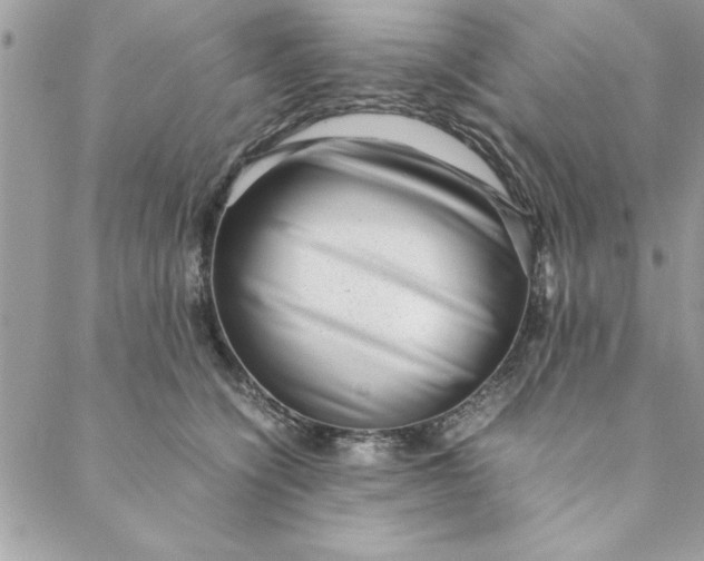 X0000088720564200706141616