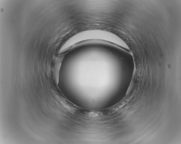 X0000088720566200706141616