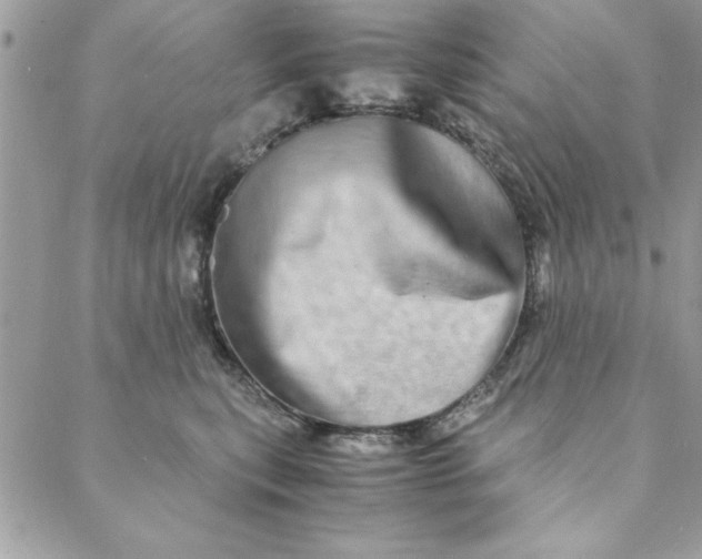 X0000088720567200706141616