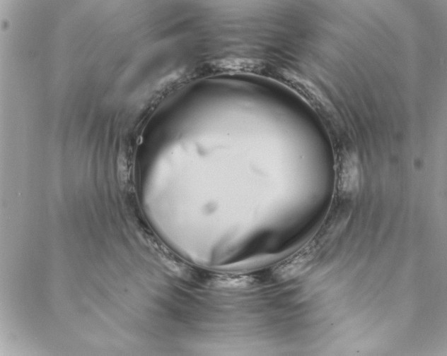 X0000088720569200706141616