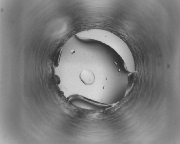 X0000088720570200706141616