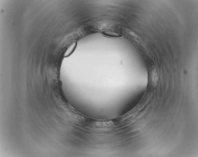 X0000088720571200706141616