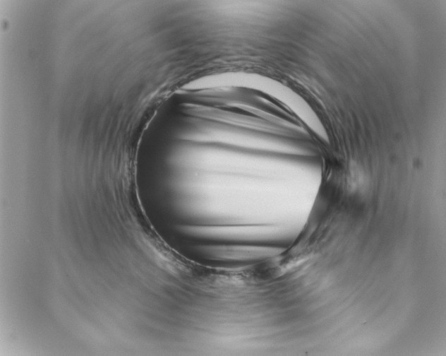 X0000088720572200706141616