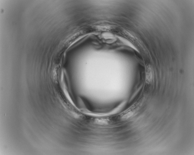 X0000088720573200706141616