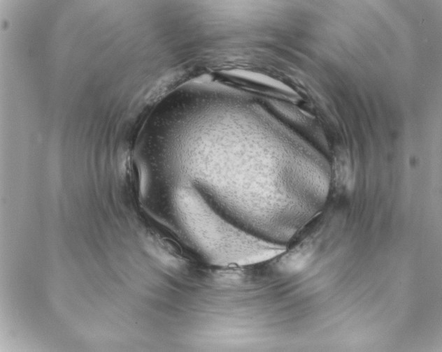 X0000088720574200706141616