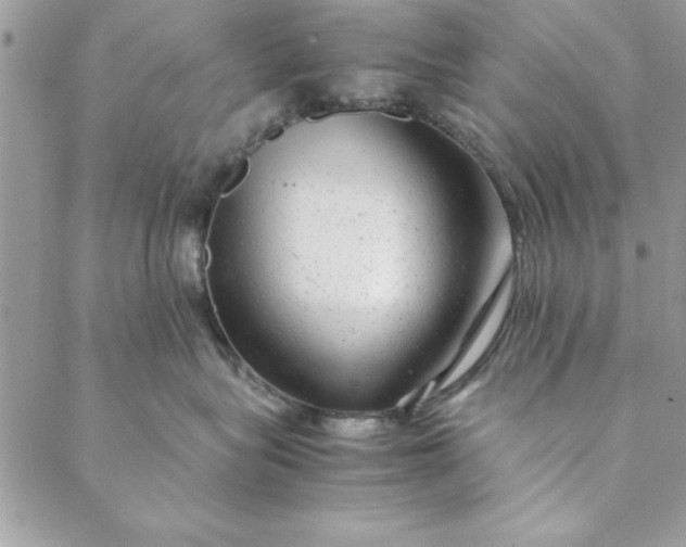 X0000088720575200706141616