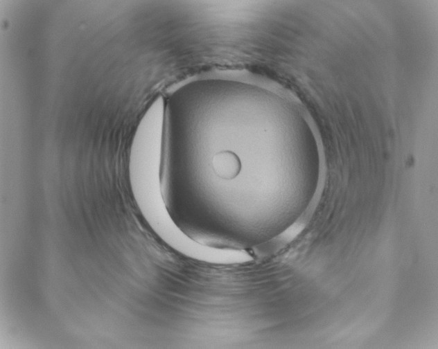 X0000088720576200706141616