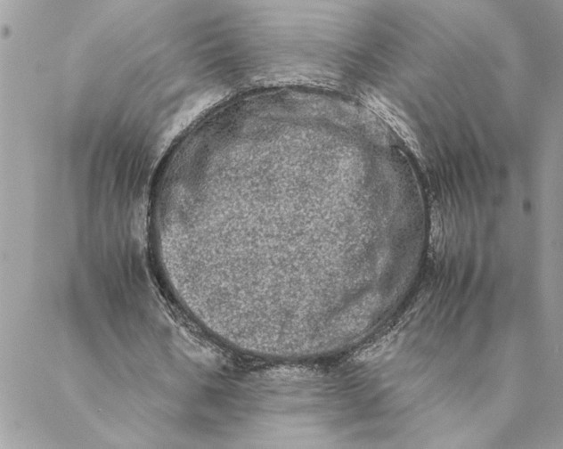 X0000088720578200706141615