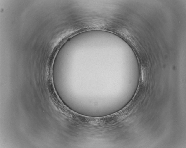 X0000088720579200706141615