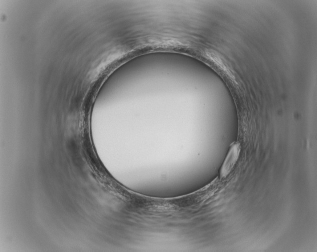 X0000088720583200706141615