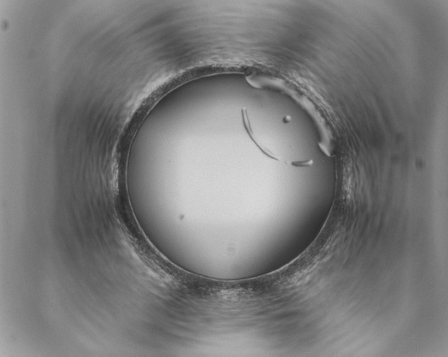 X0000088720584200706141615