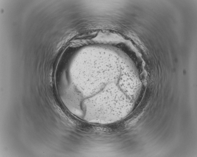 X0000088720585200706141615