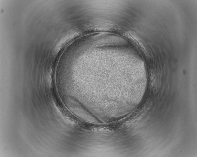 X0000088720586200706141615