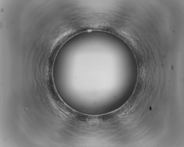 X0000088720587200706141615