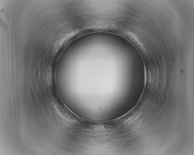 X0000088720588200706141615