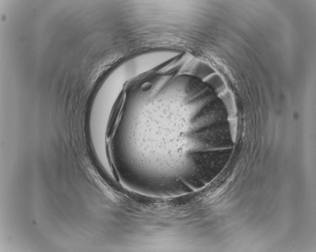 X0000088720589200706141615