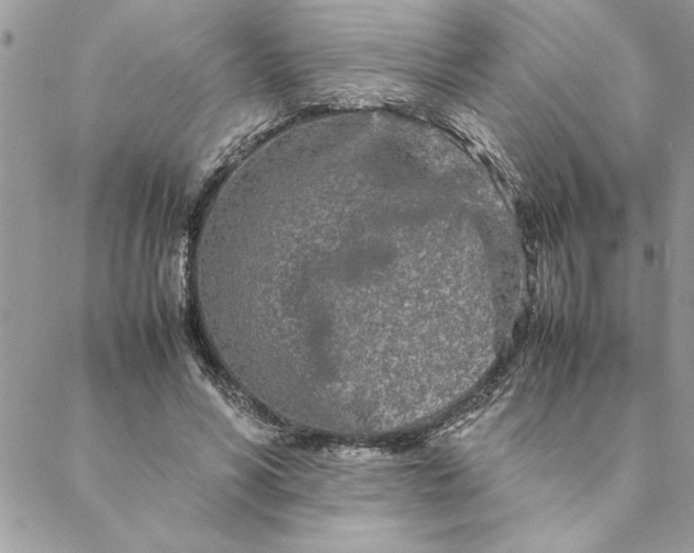 X0000088720590200706141615