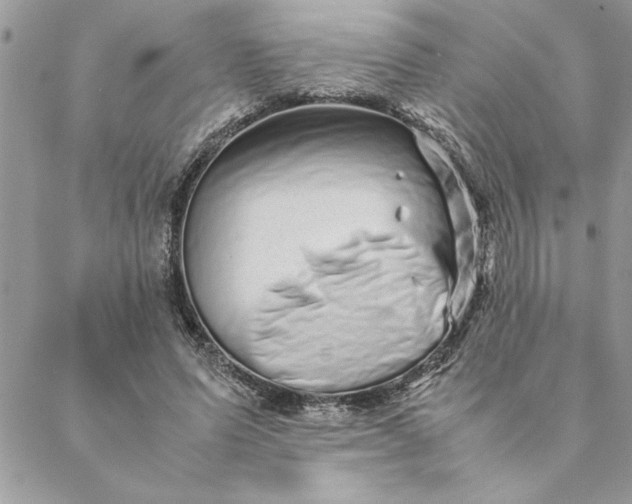 X0000088720591200706141615