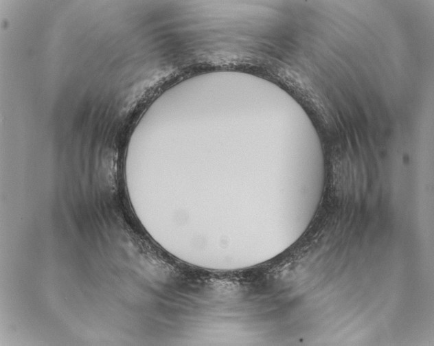 X0000088720592200706141615