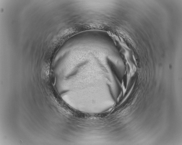 X0000088720593200706141615