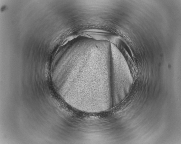 X0000088720594200706141615