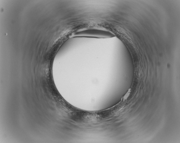 X0000088720595200706141615