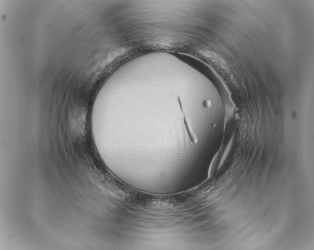 X0000088720596200706141615