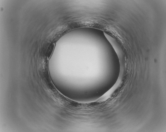 X0000088720597200706141615