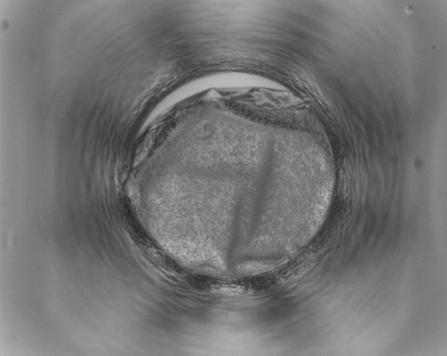 X0000088720598200706141615