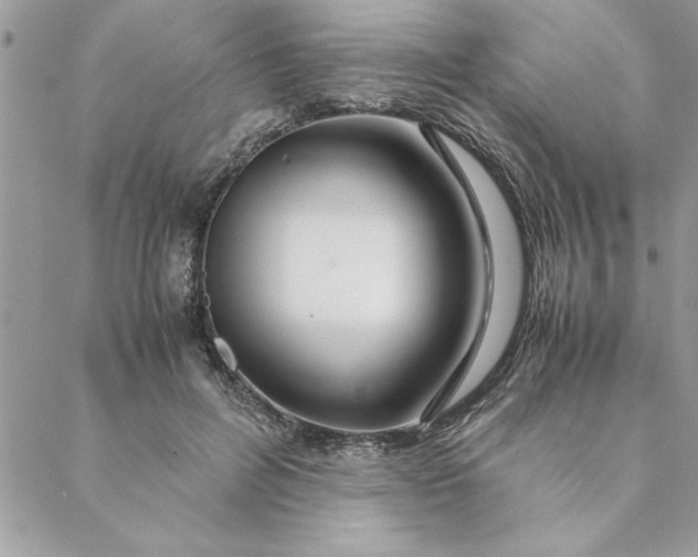 X0000088720600200706141615