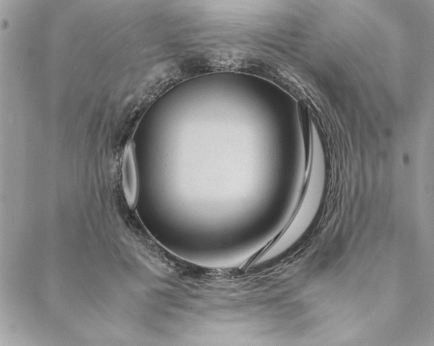 X0000088720601200706141615