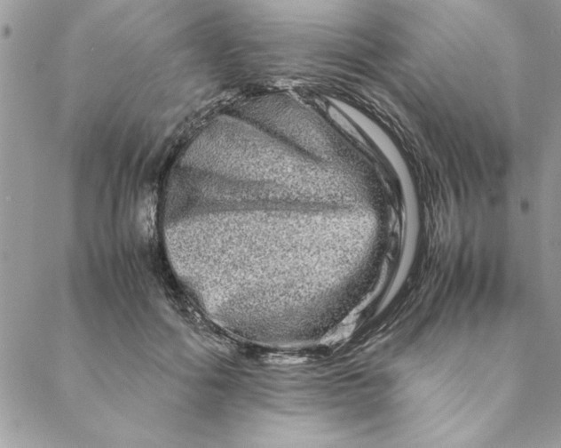 X0000088720602200706141615