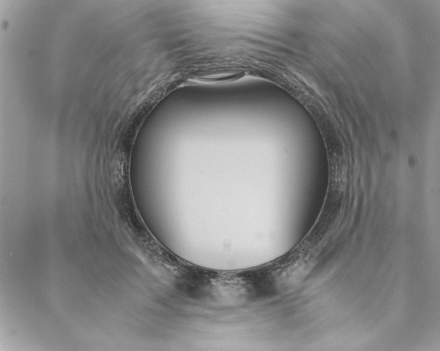 X0000088720603200706141615